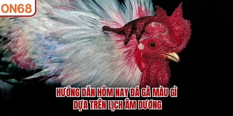 Hôm nay đá gà màu gì