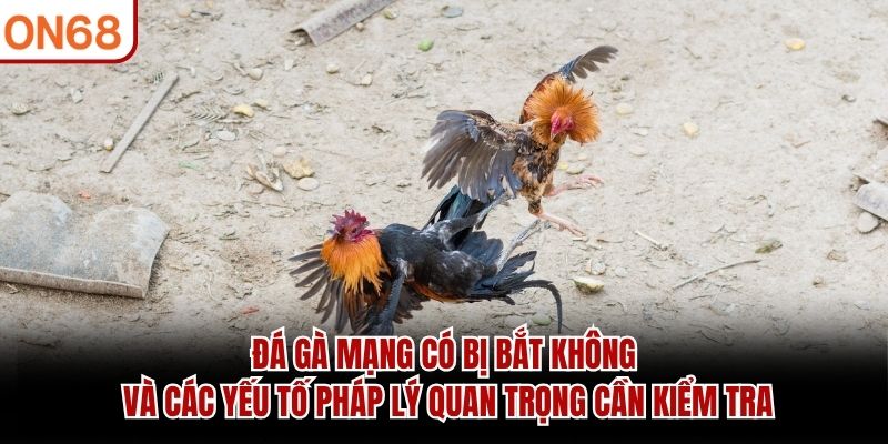 đá gà mạng có bị bắt không