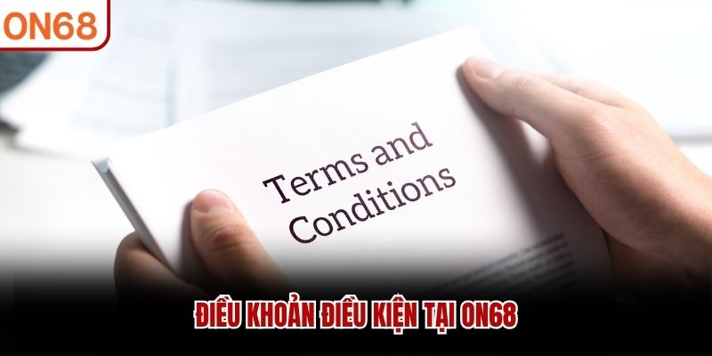 điều khoản điều kiện